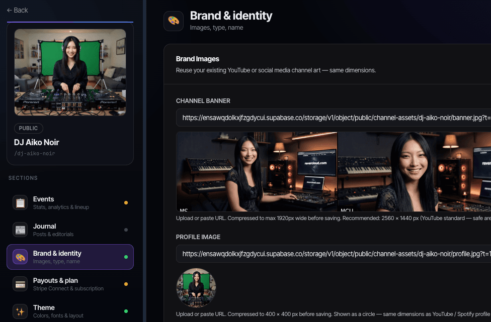 DJ Aiko Noir brand and identity profile settings